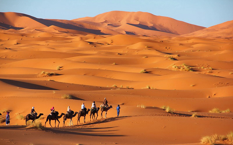 Morocco Desert Tours